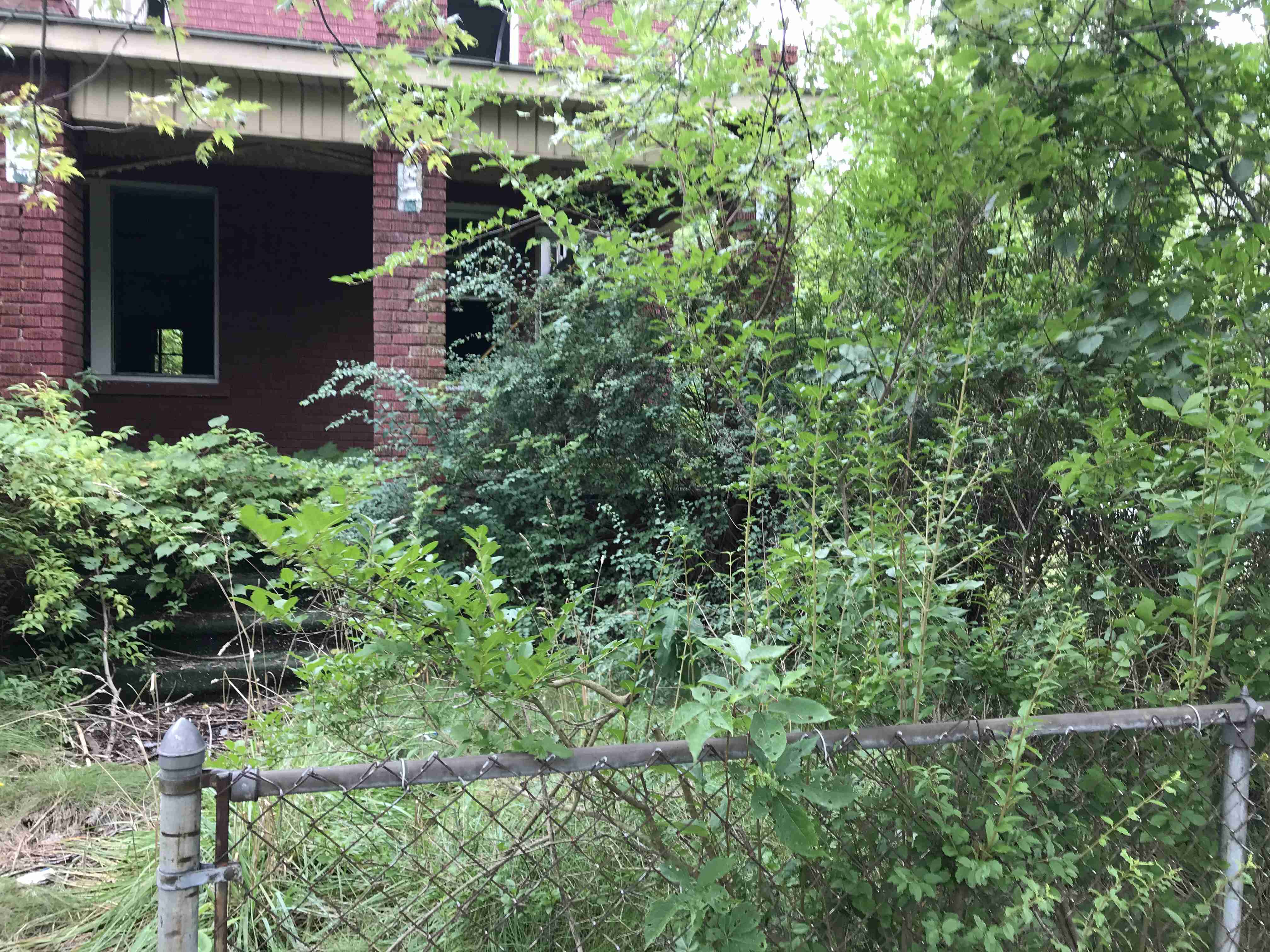 Photo Sep 09, 11 08 31 AM.jpg